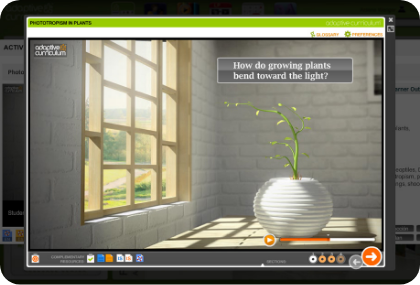 Adaptive Curriculum 2